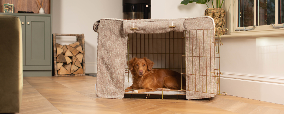 Measuring a dog clearance for a crate