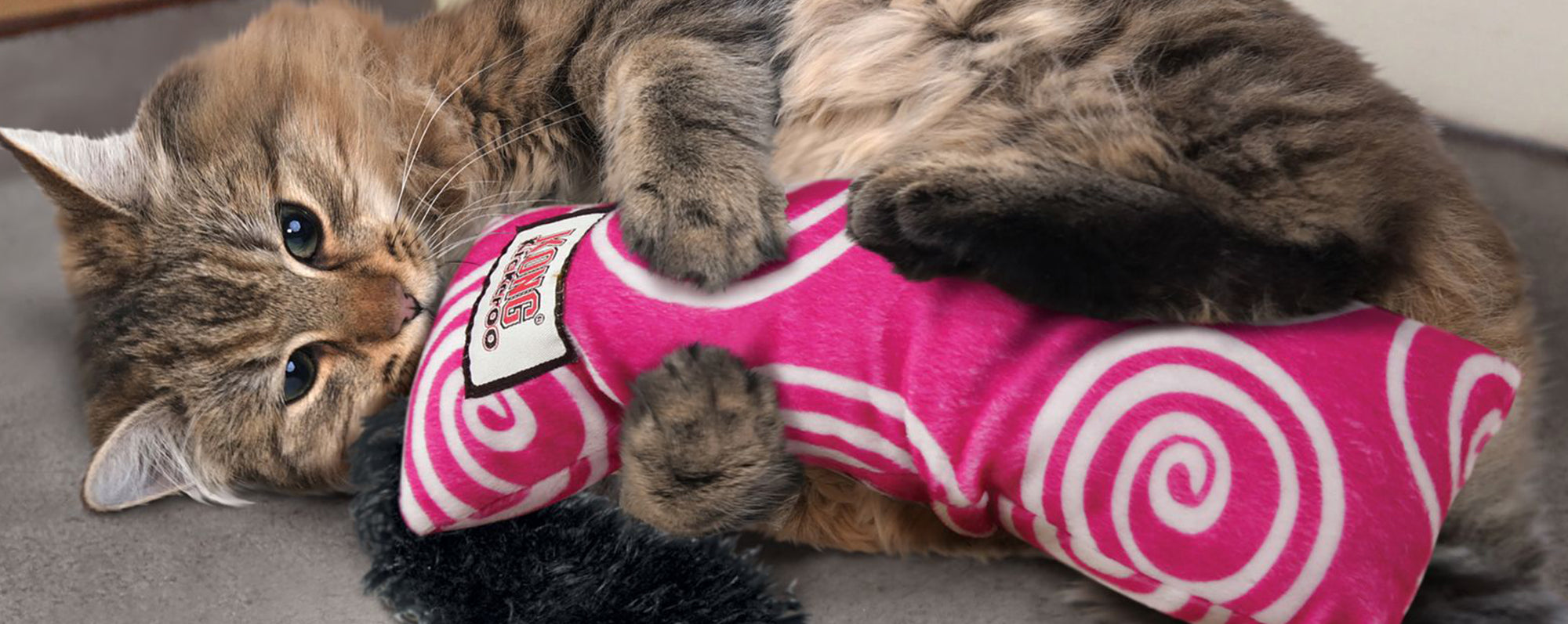 From Bored to Blissful: How Cat Toys Can Enrich Your Feline