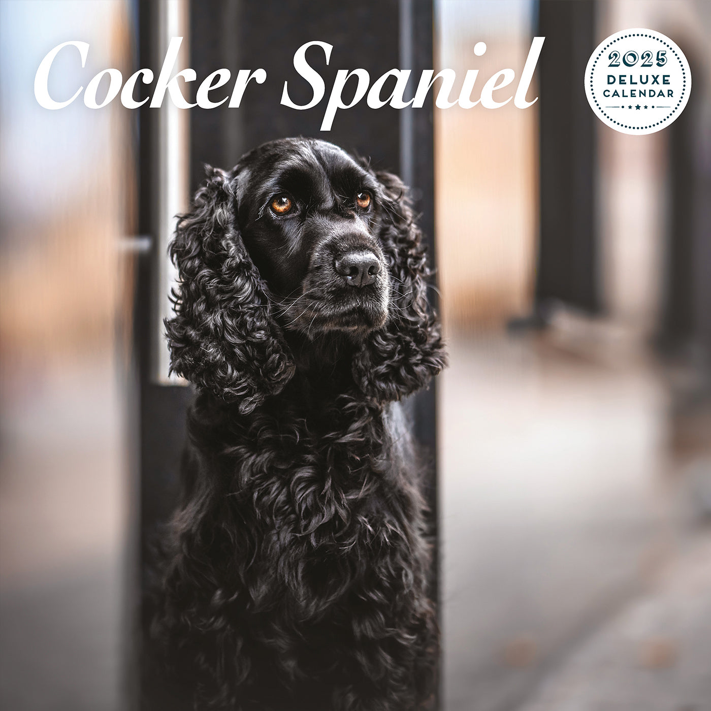 Cocker Spaniel Deluxe Calendar 2025 Lords & Labradors