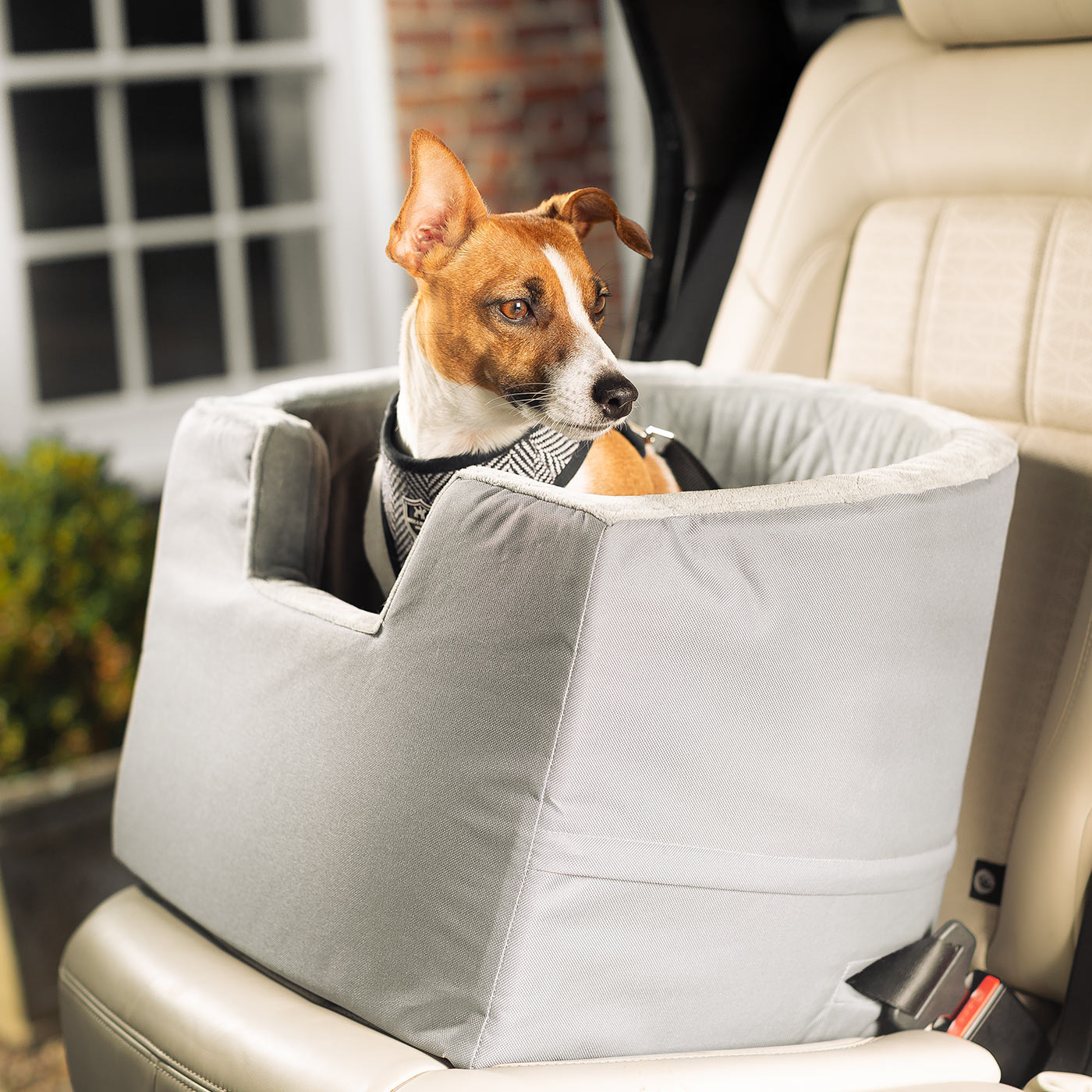 La dog outlet company car seat