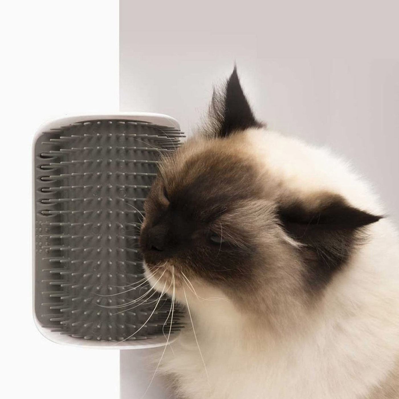 Catit senses 2.0 outlet scratcher