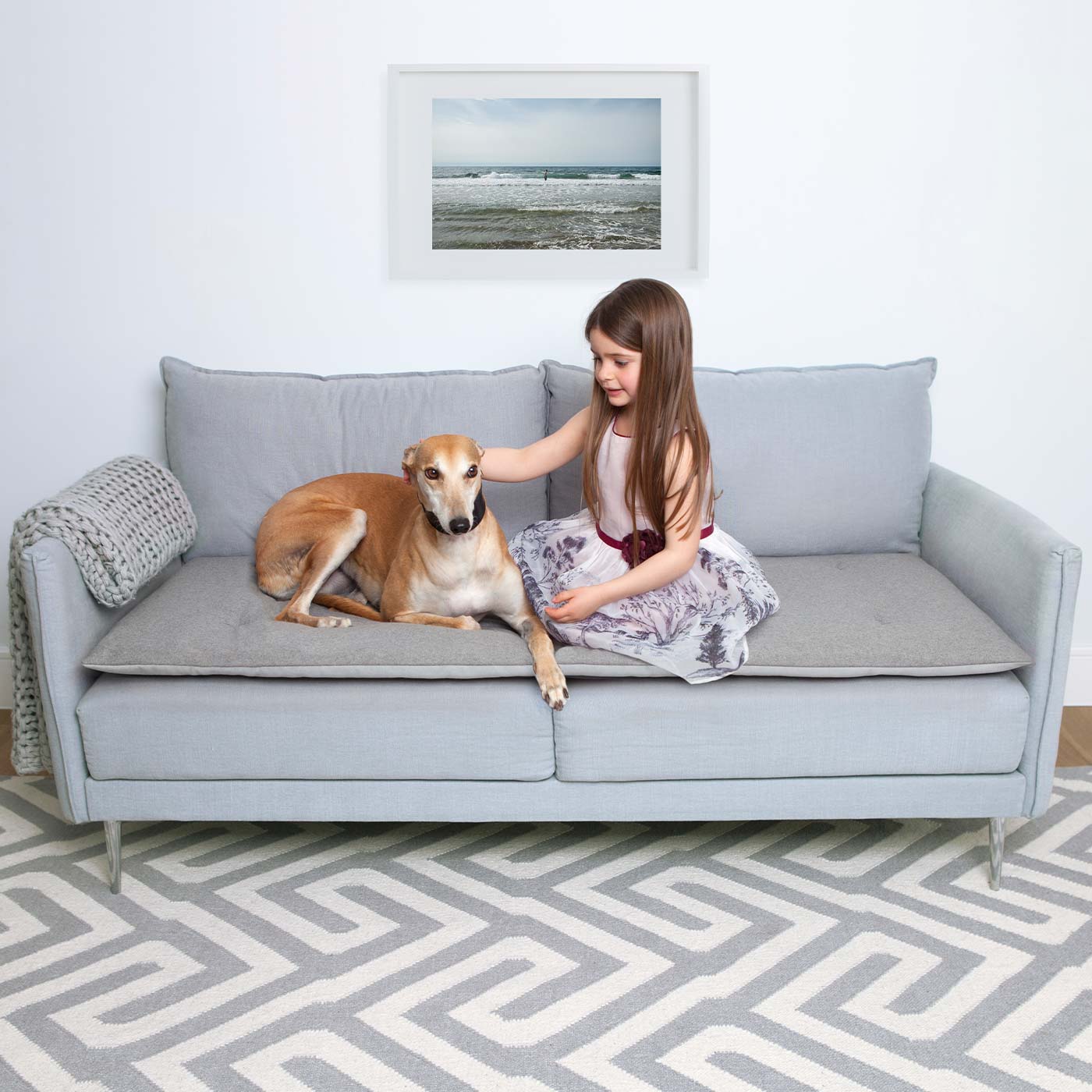The Lounging Hound Wool Sofa Topper, Dog Bed