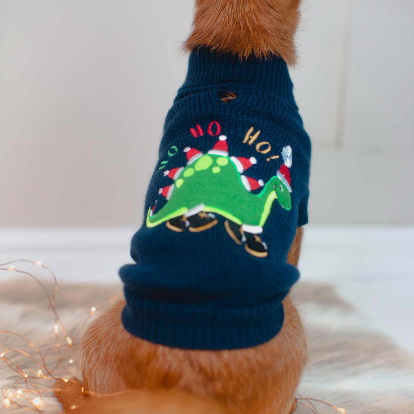 Christmas dog outlet jumper