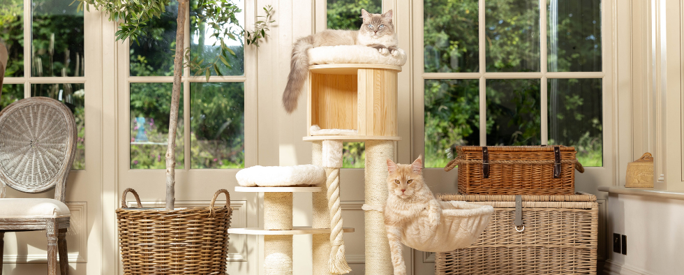 The Best Cat Trees for Felines