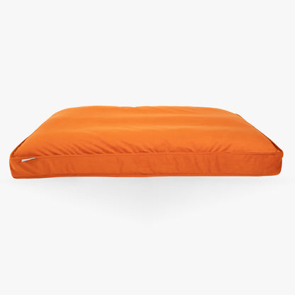 Dog Cushion in Pumpkin Velvet by Lords & Labradors