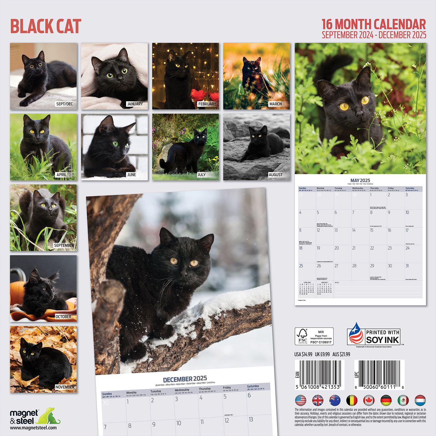 Black Cat Calendar 2025