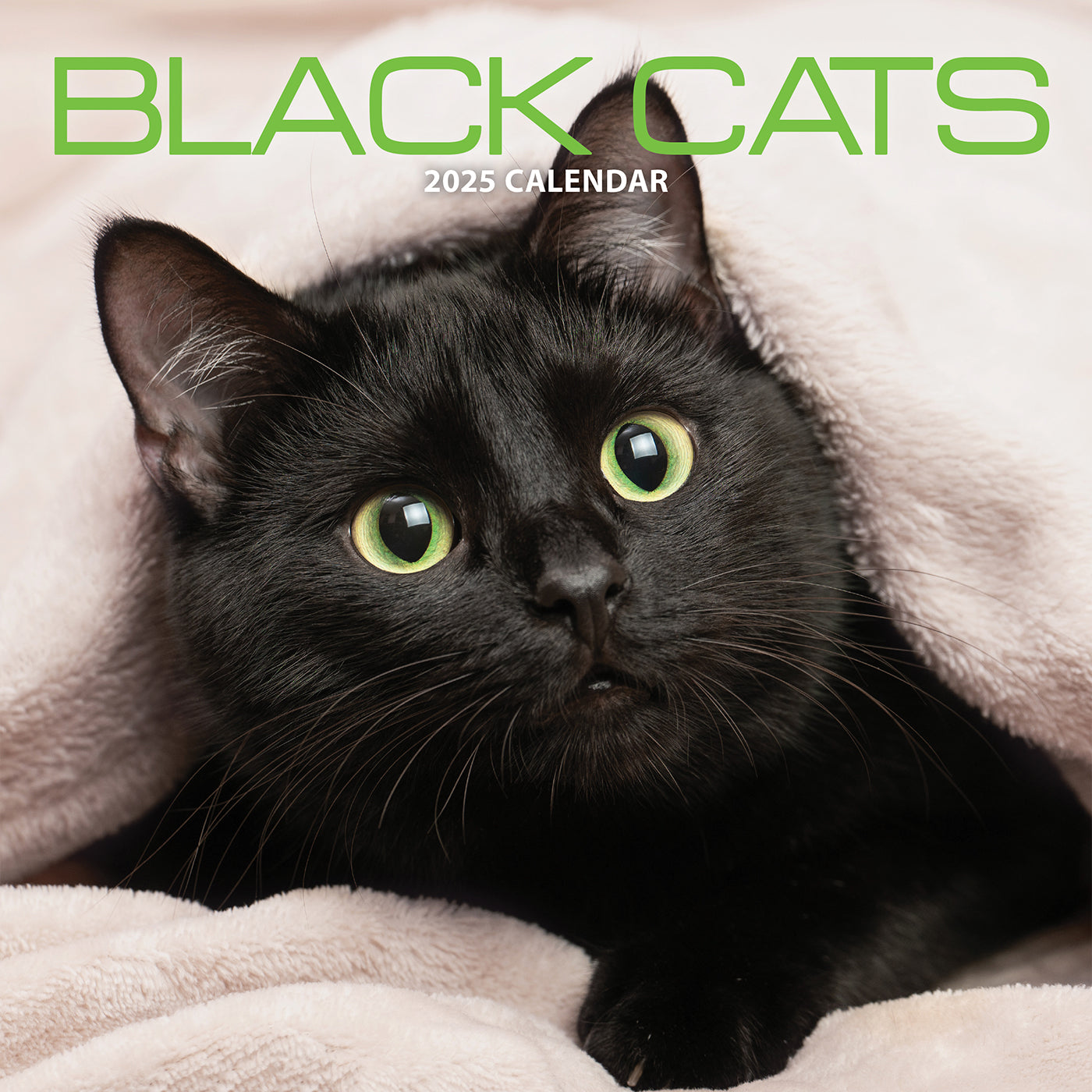 Black Cat Calendar 2025