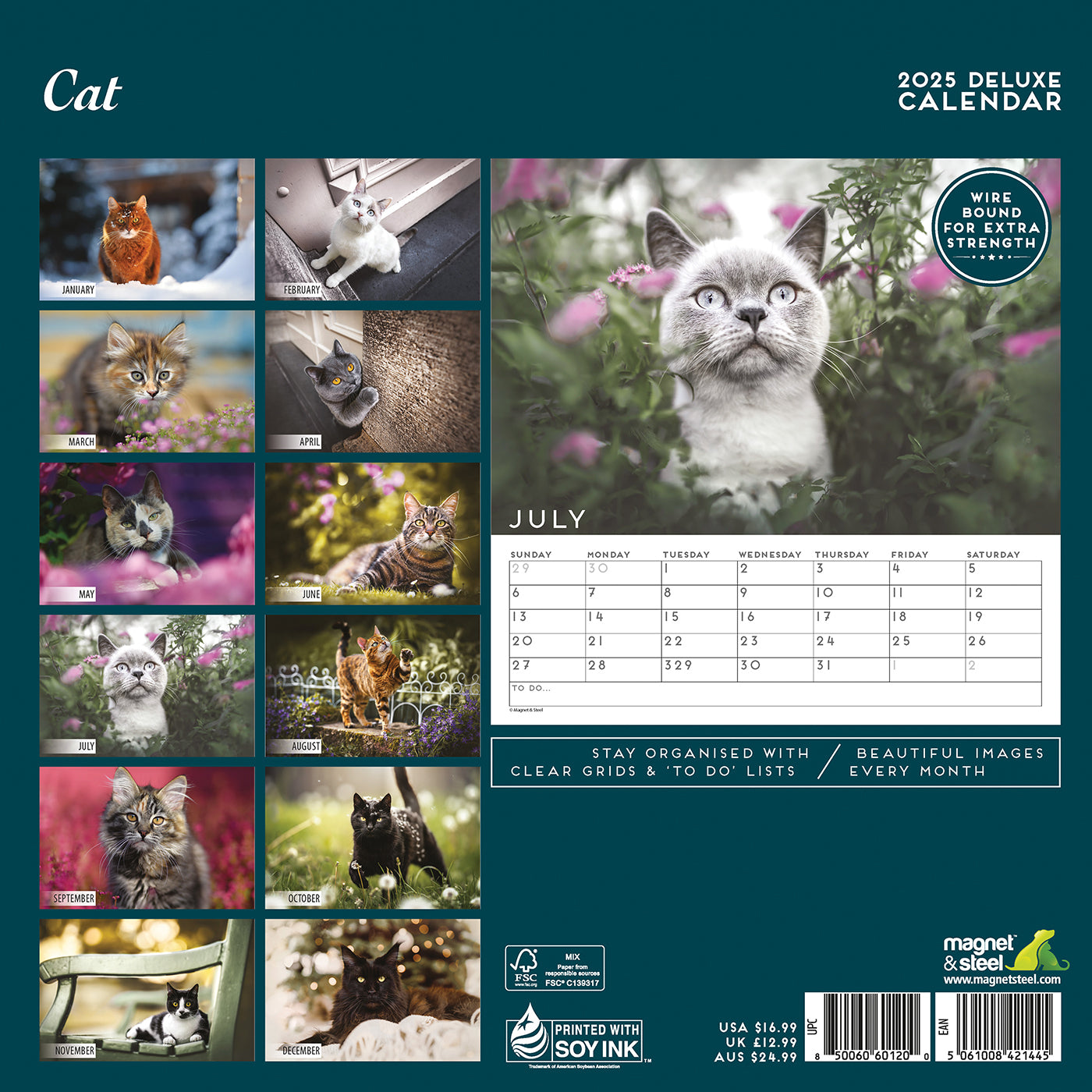 Cat Deluxe Calendar 2025