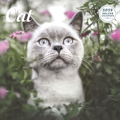 Cat Deluxe Calendar 2025