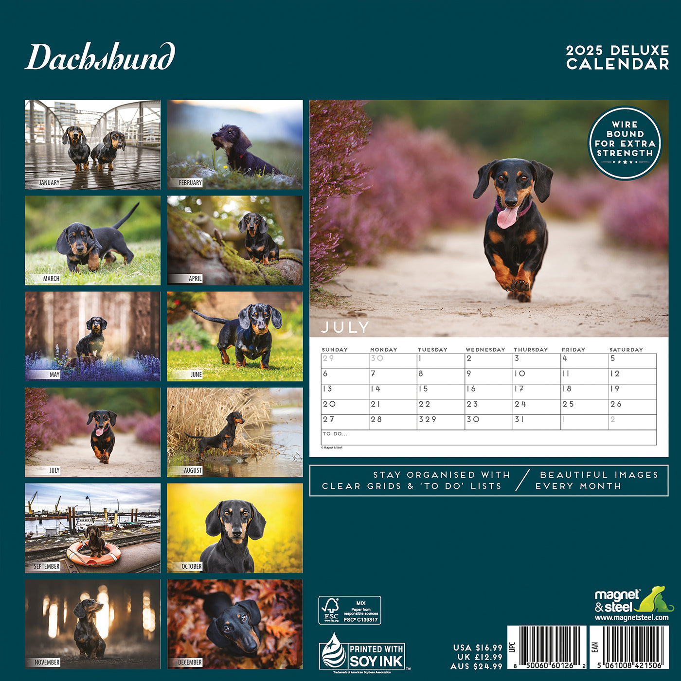 Dachshund Deluxe Calendar 2025