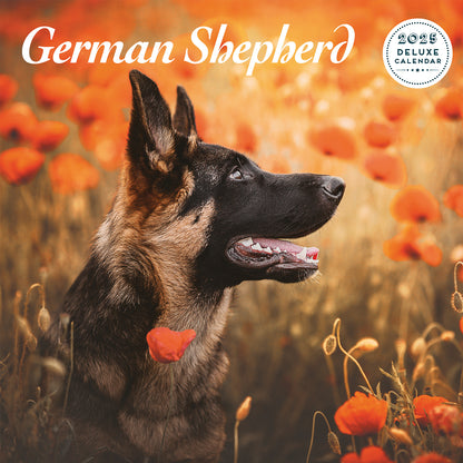 German Shepherd Deluxe Calendar 2025