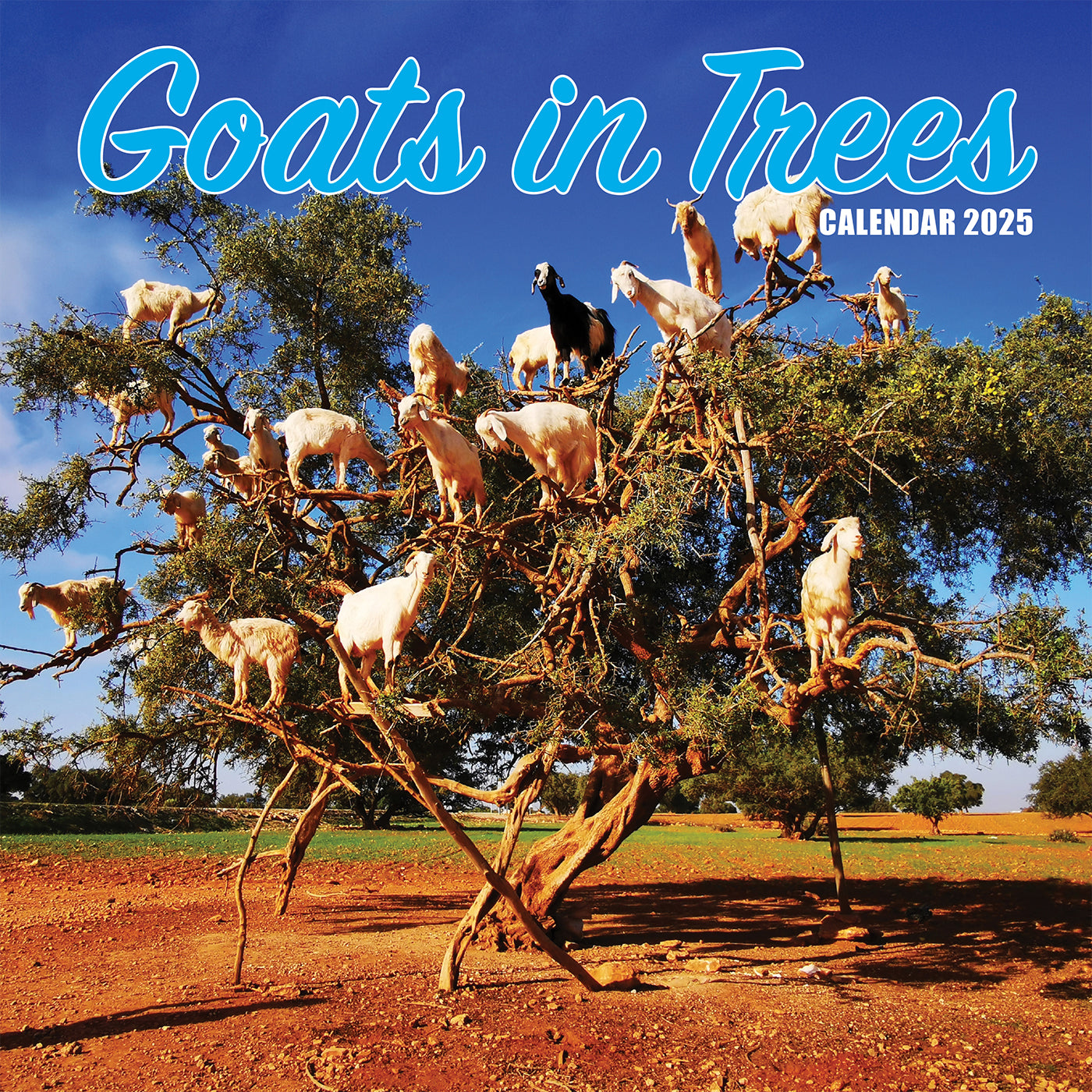 Goats 2025 Calendar Gifting Lords & Labradors