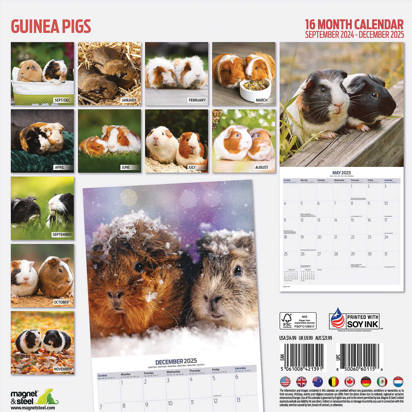 Guinea Pig Traditional Calendar 2025