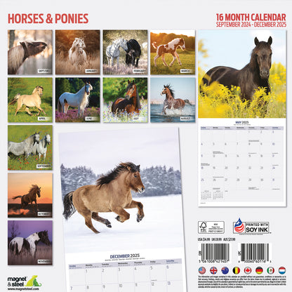 Horses & Ponies Calendar 2025