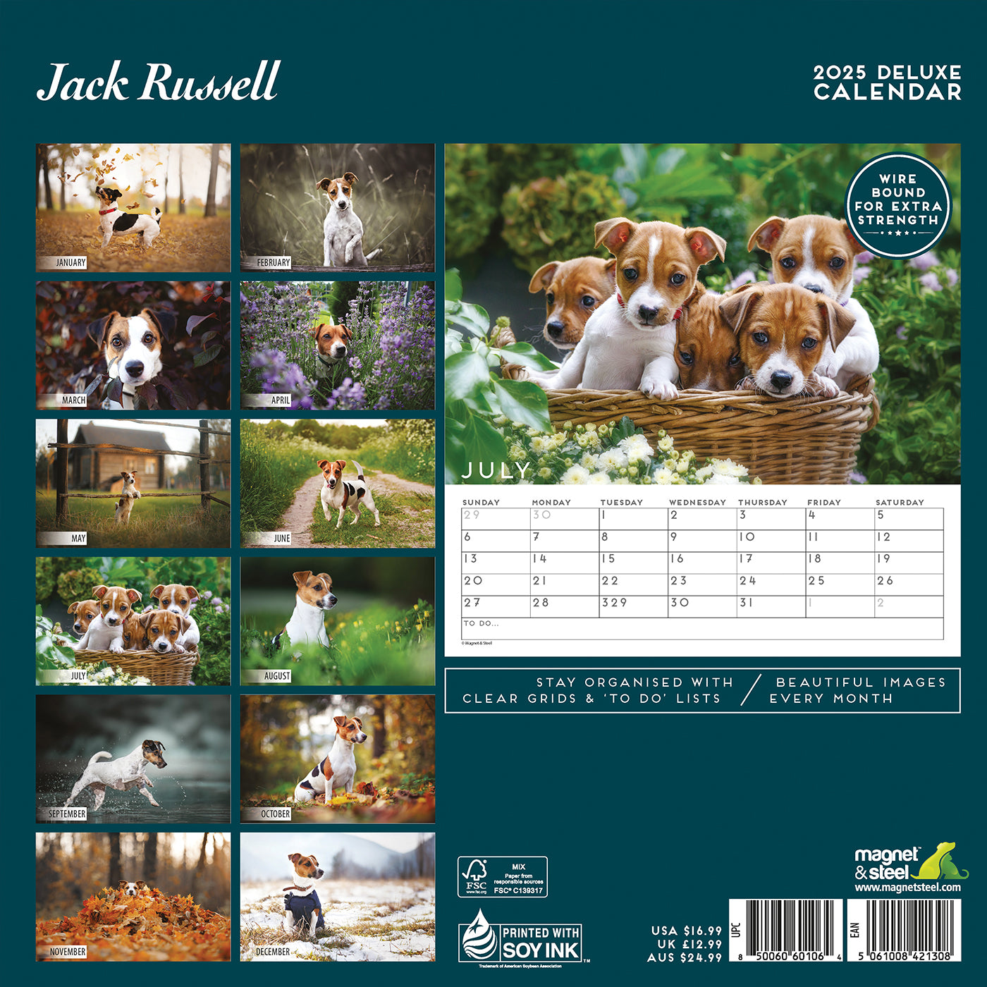 Jack Russell Deluxe Calendar 2025