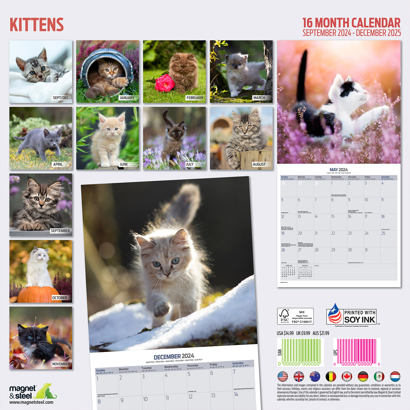 Kittens Traditional Calendar 2025