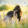 Black Labrador Deluxe Calendar 2025