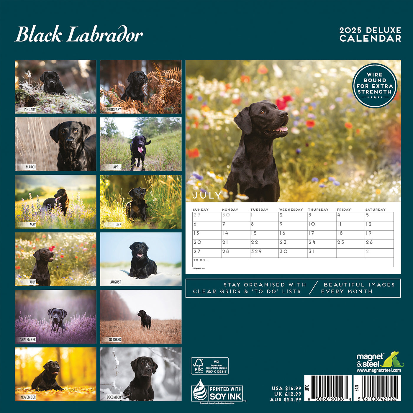 Black Labrador Deluxe Calendar 2025