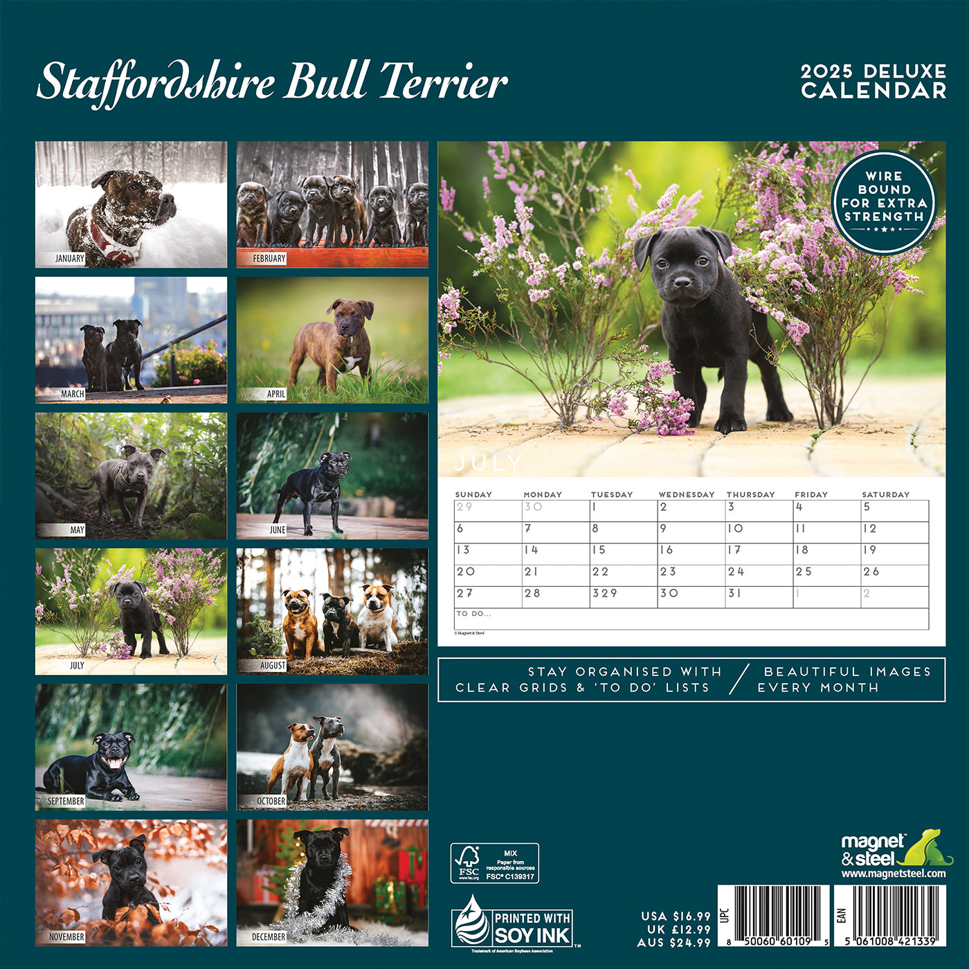 Staffordshire Bull Terrier Deluxe Calendar 2025