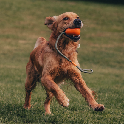 Beco Slinger Pebble Orange