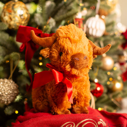 Good Boy Gift Highland Cow