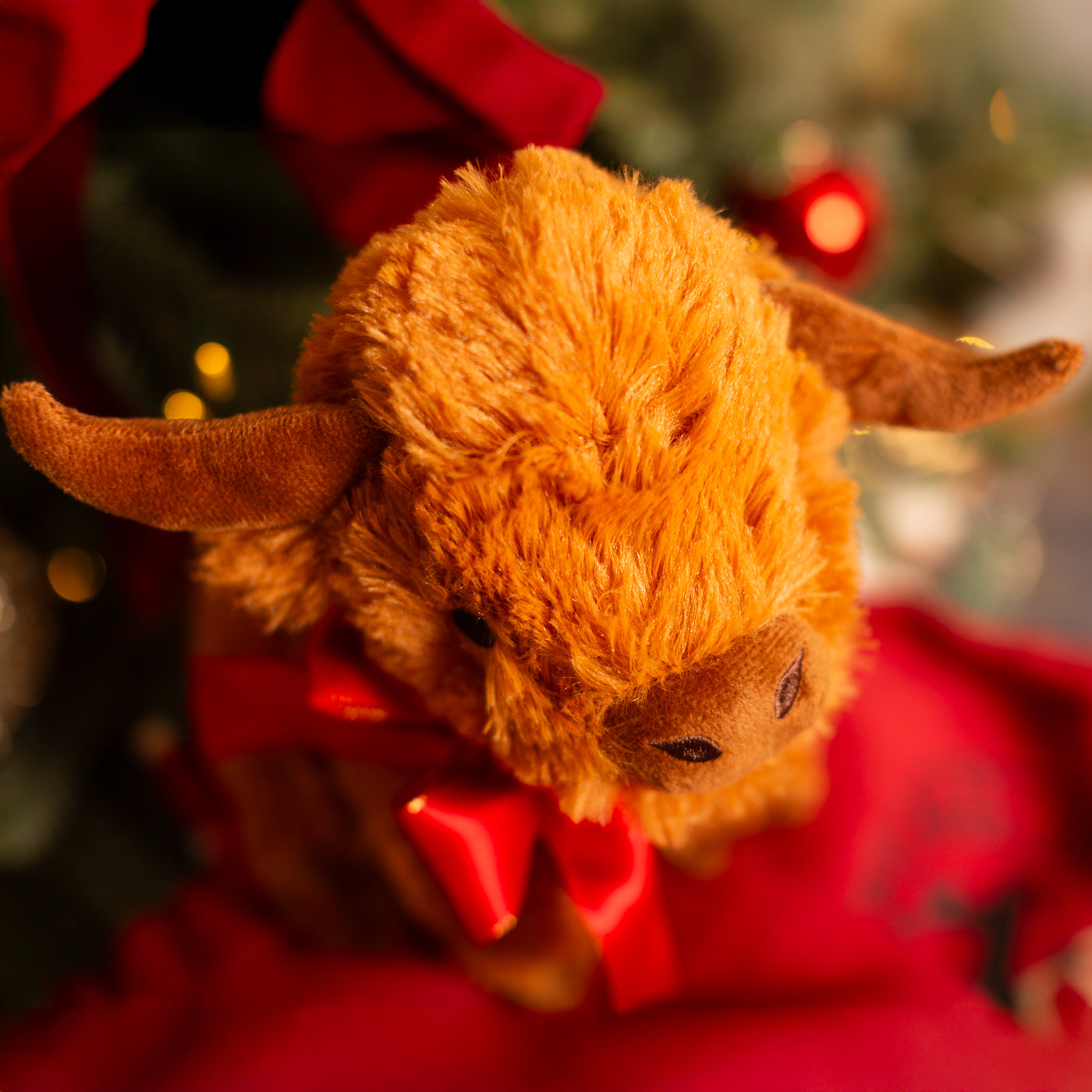 Good Boy Gift Highland Cow