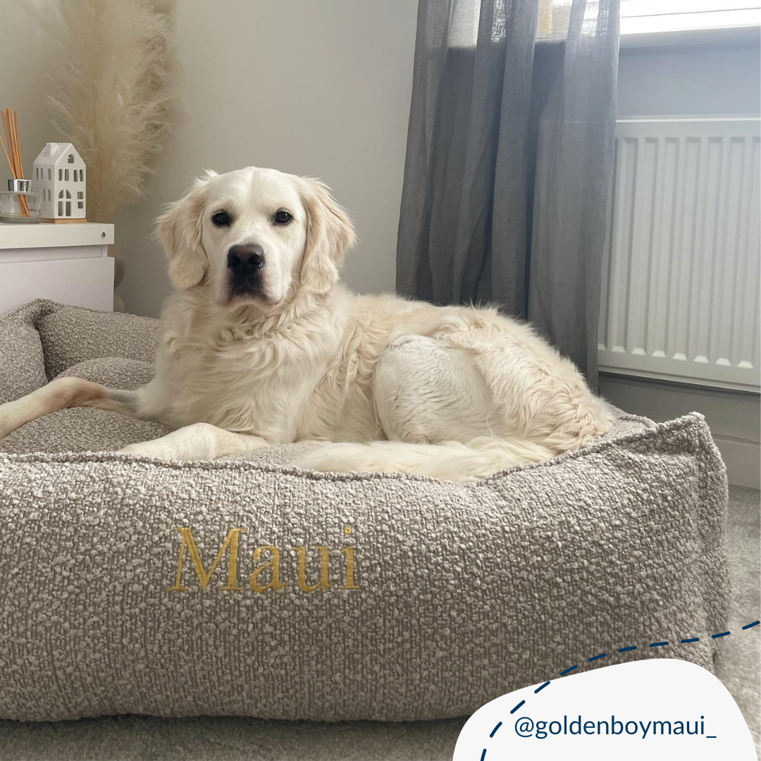 Box Bed With Removable Covers in Mink Bouclé by Lords & Labradors