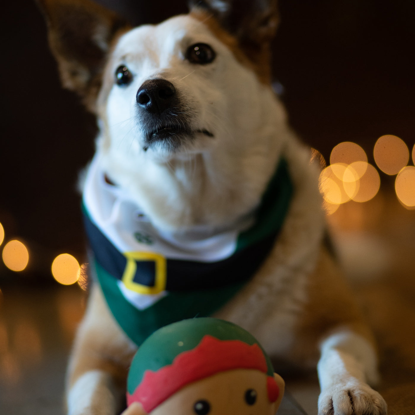 Christmas Elf Dog Bandana