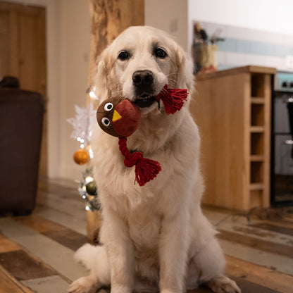 Ryan Robin With Rope Plush Christmas Dog Toy