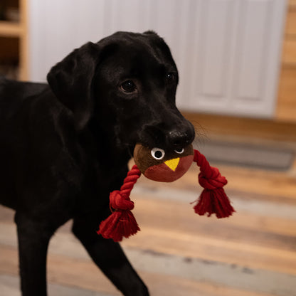 Ryan Robin With Rope Plush Christmas Dog Toy