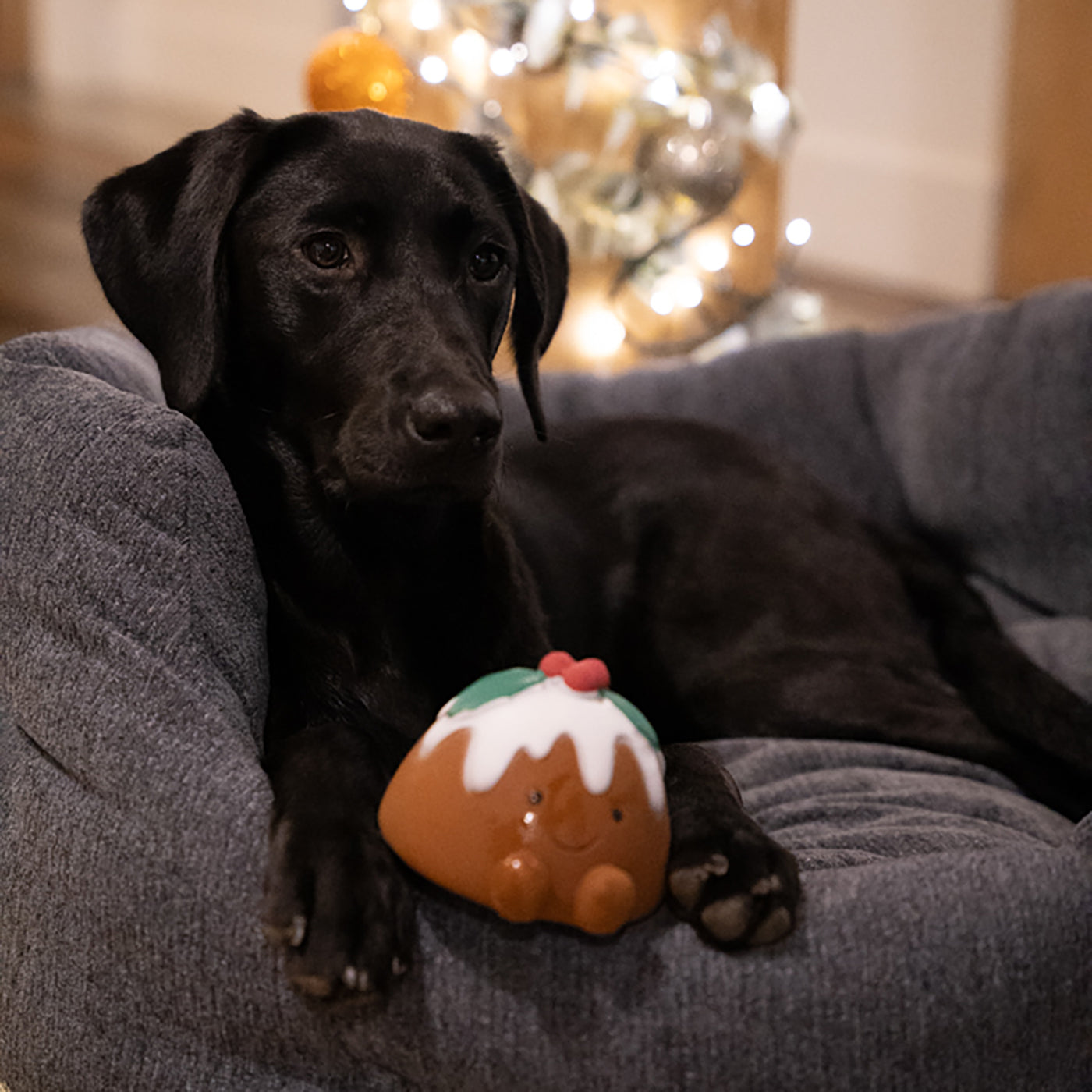 Chrissie Christmas Pudding Dog Toy