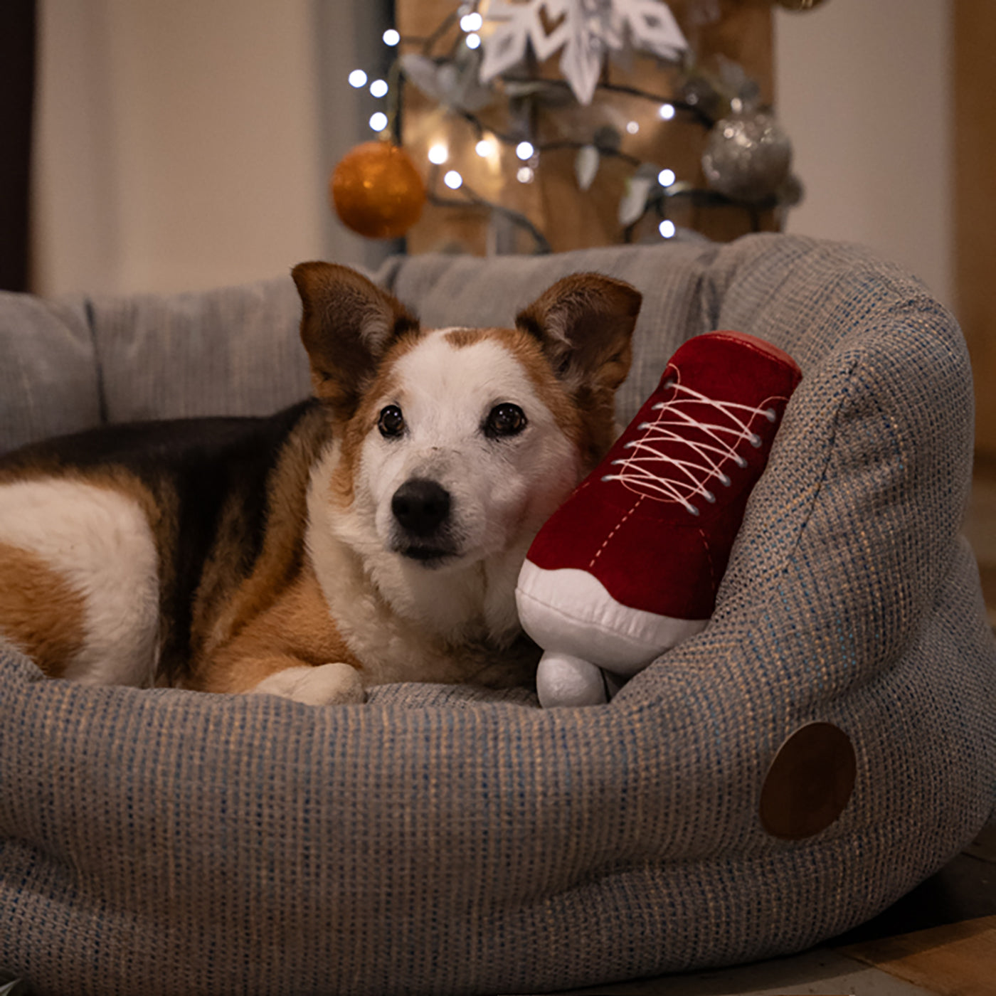 Ivy Ice Skate Plush Christmas Dog Toy