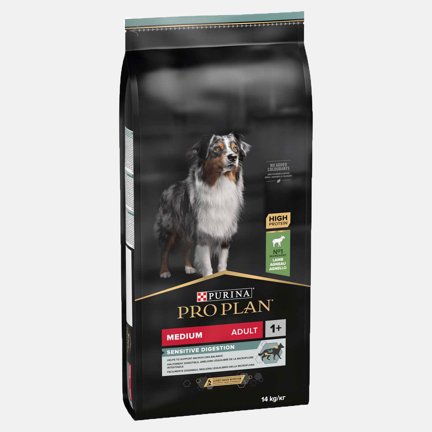 Dog Food & Accessories