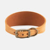 Ancol Timberwolf Whippet Collar