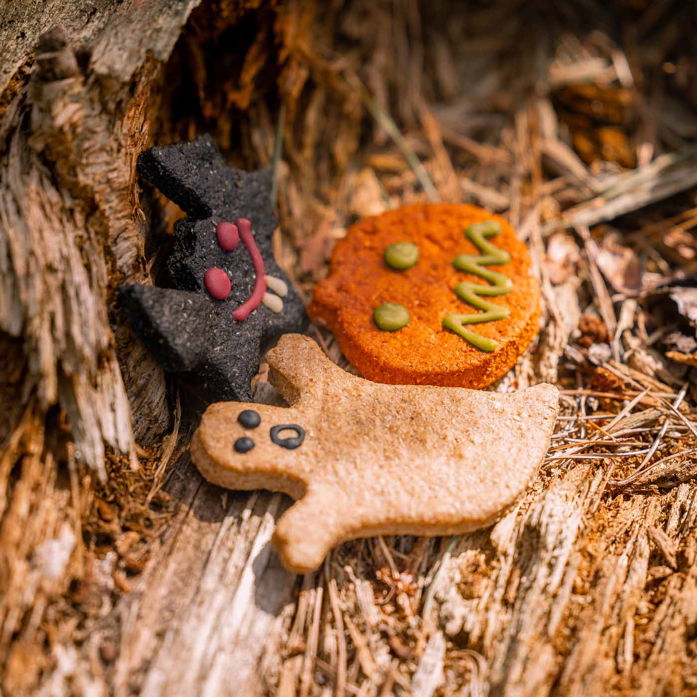 Barking Bakery Howloween Cheesey Biscuits