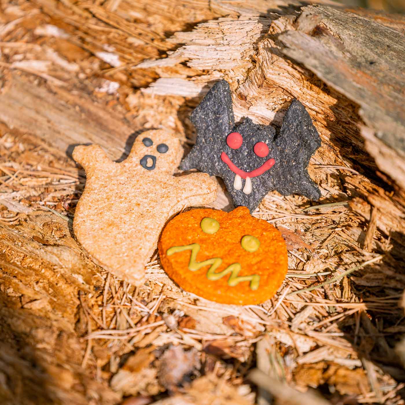 Barking Bakery Howloween Cheesey Biscuits