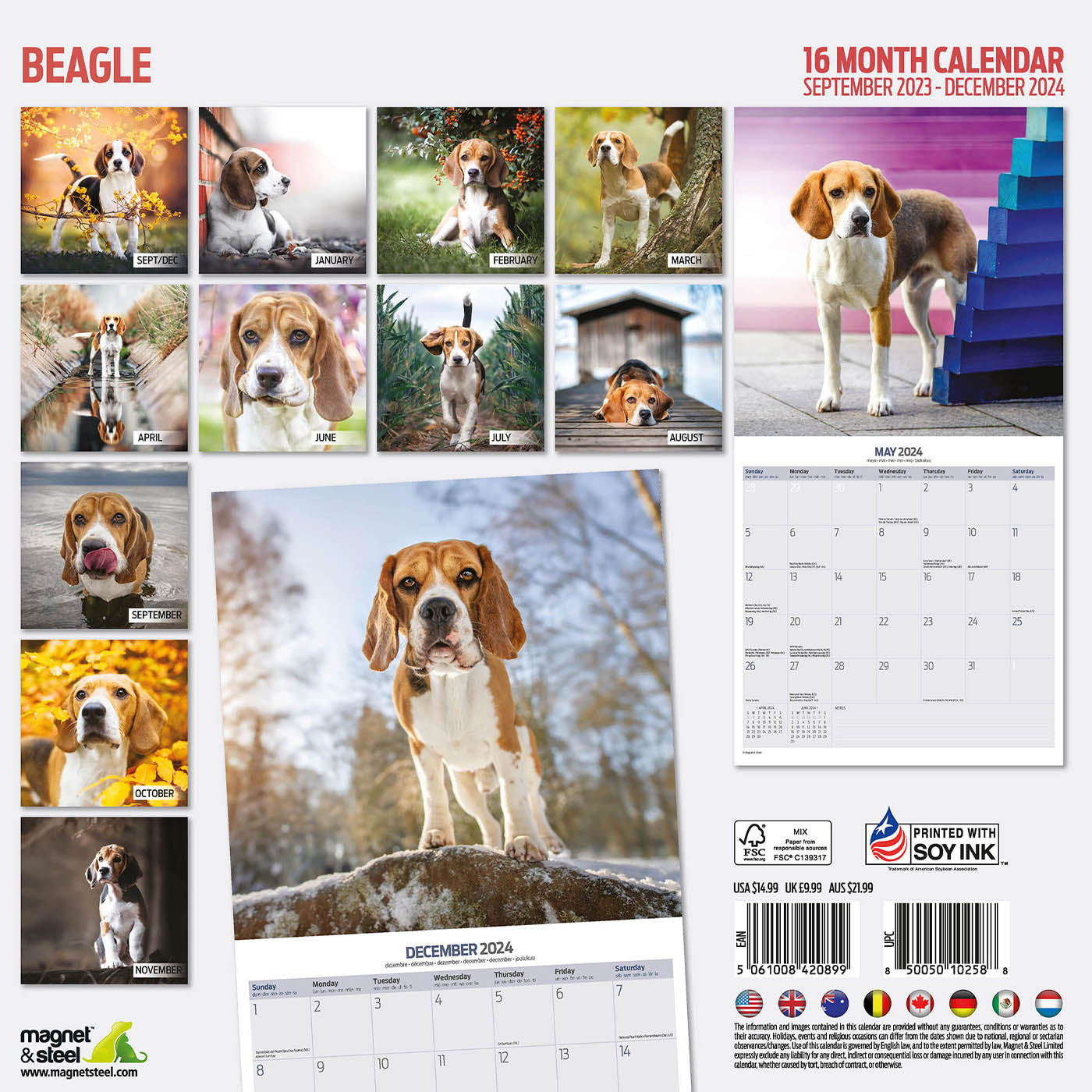 Beagle Traditional Calendar 2024 Lords Labradors