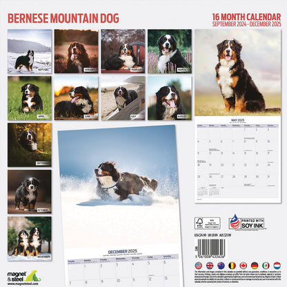 Bernese Mountain Dog Traditional Calendar 2025