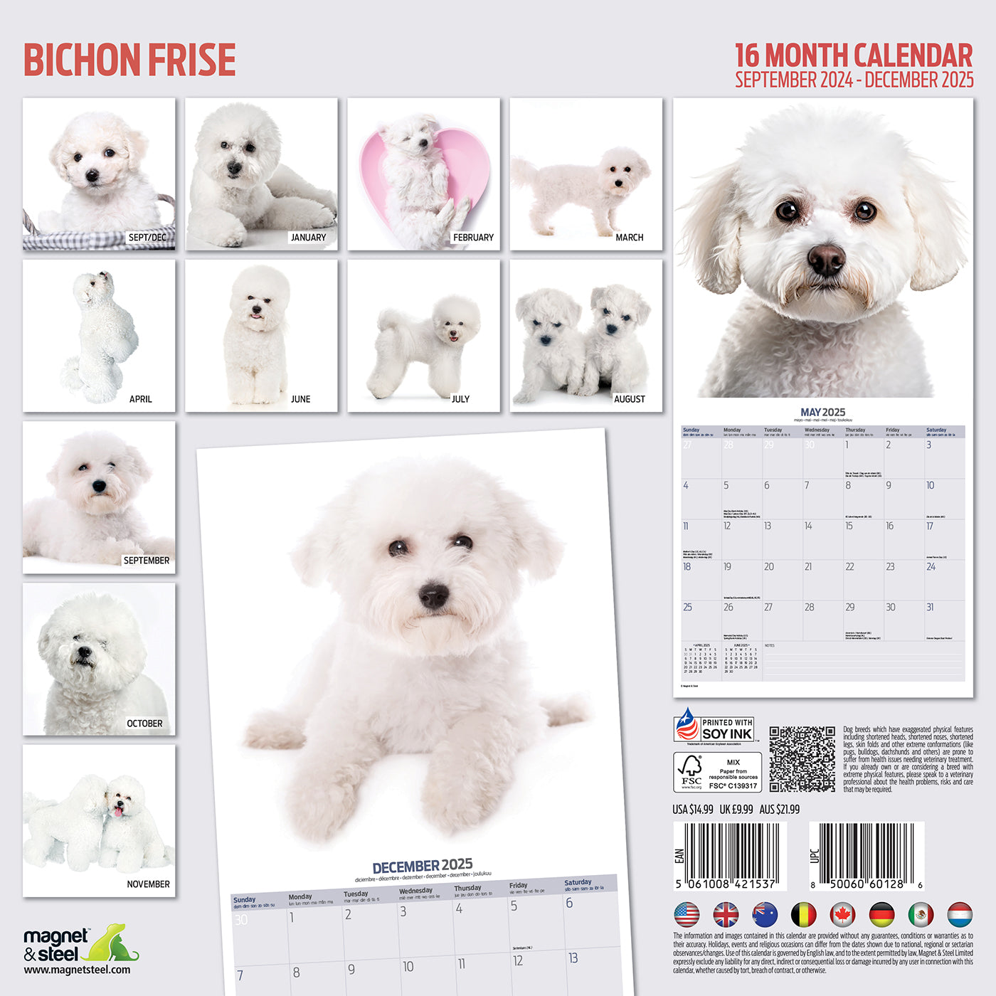 Bichon Frise Modern Calendar 2025