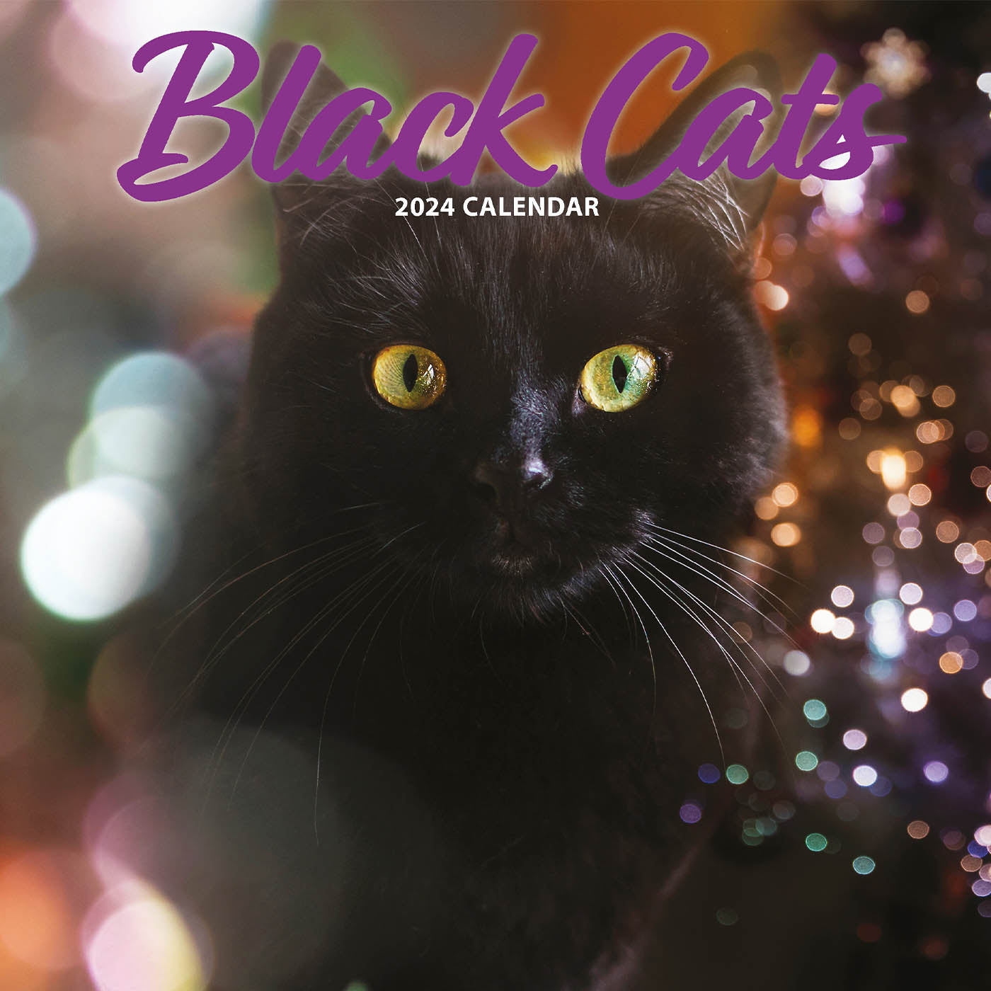 Black Cat 2024 Calendar Gifting Lords & Labradors