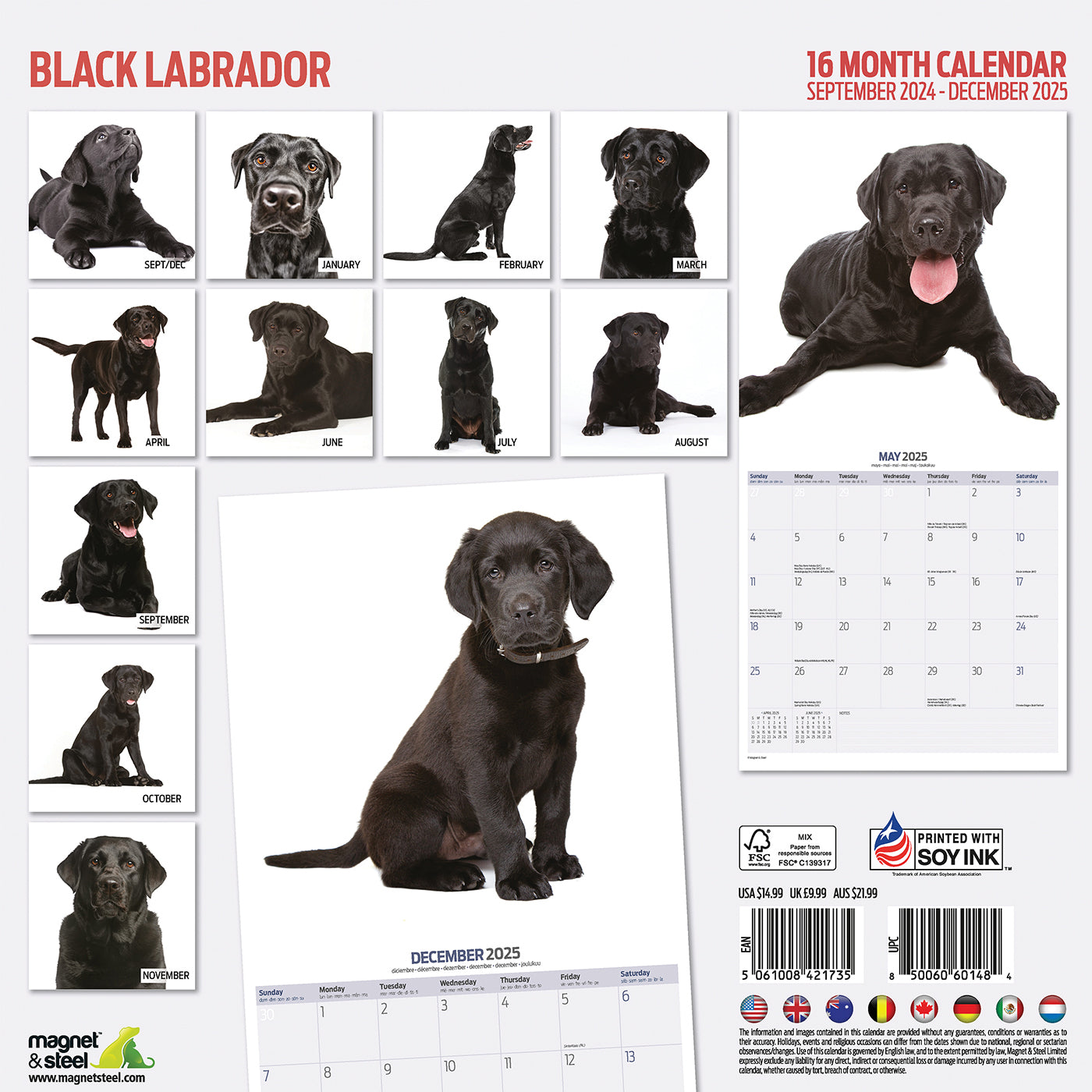 Black Labrador 2025 Modern Calendar Gifting Lords & Labradors