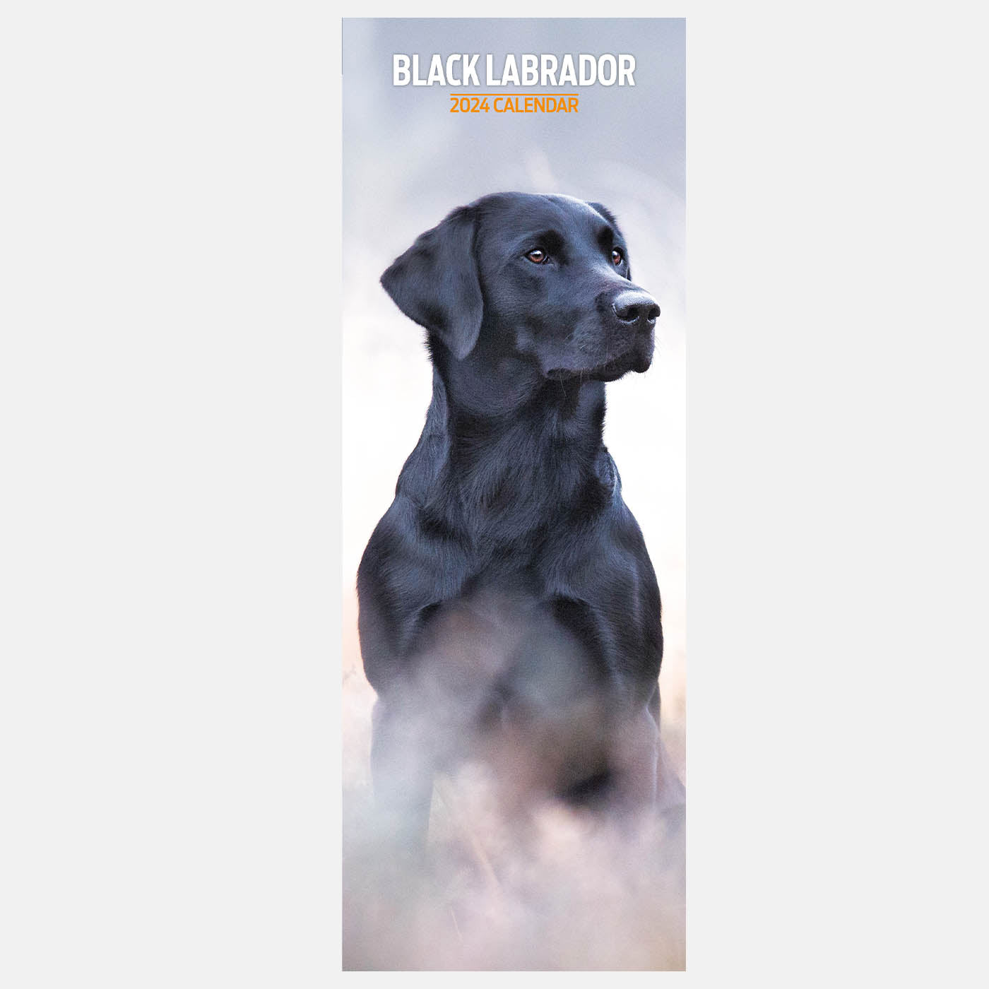 Labrador Black Slim Calendar 2024 Lords Labradors   BlackLabradorSlimCalendar20242 