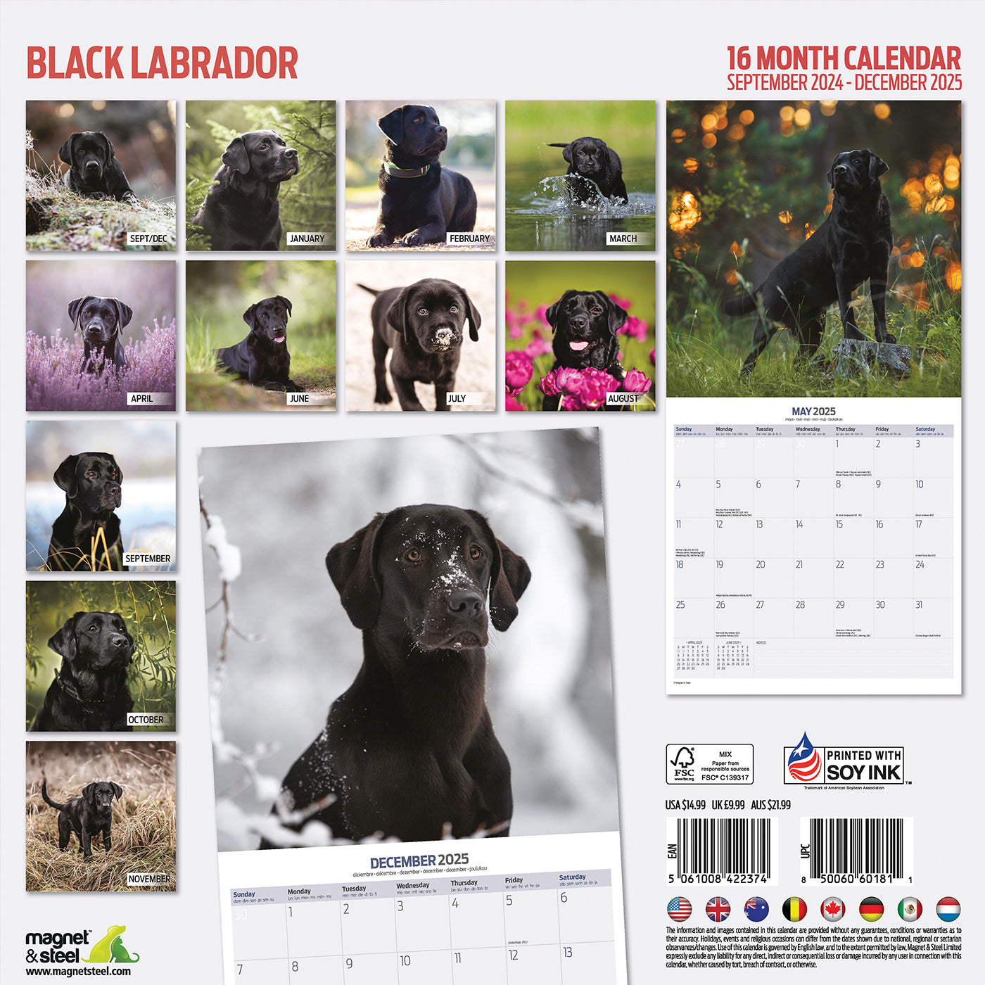 Black Labrador Traditional Calendar 2025