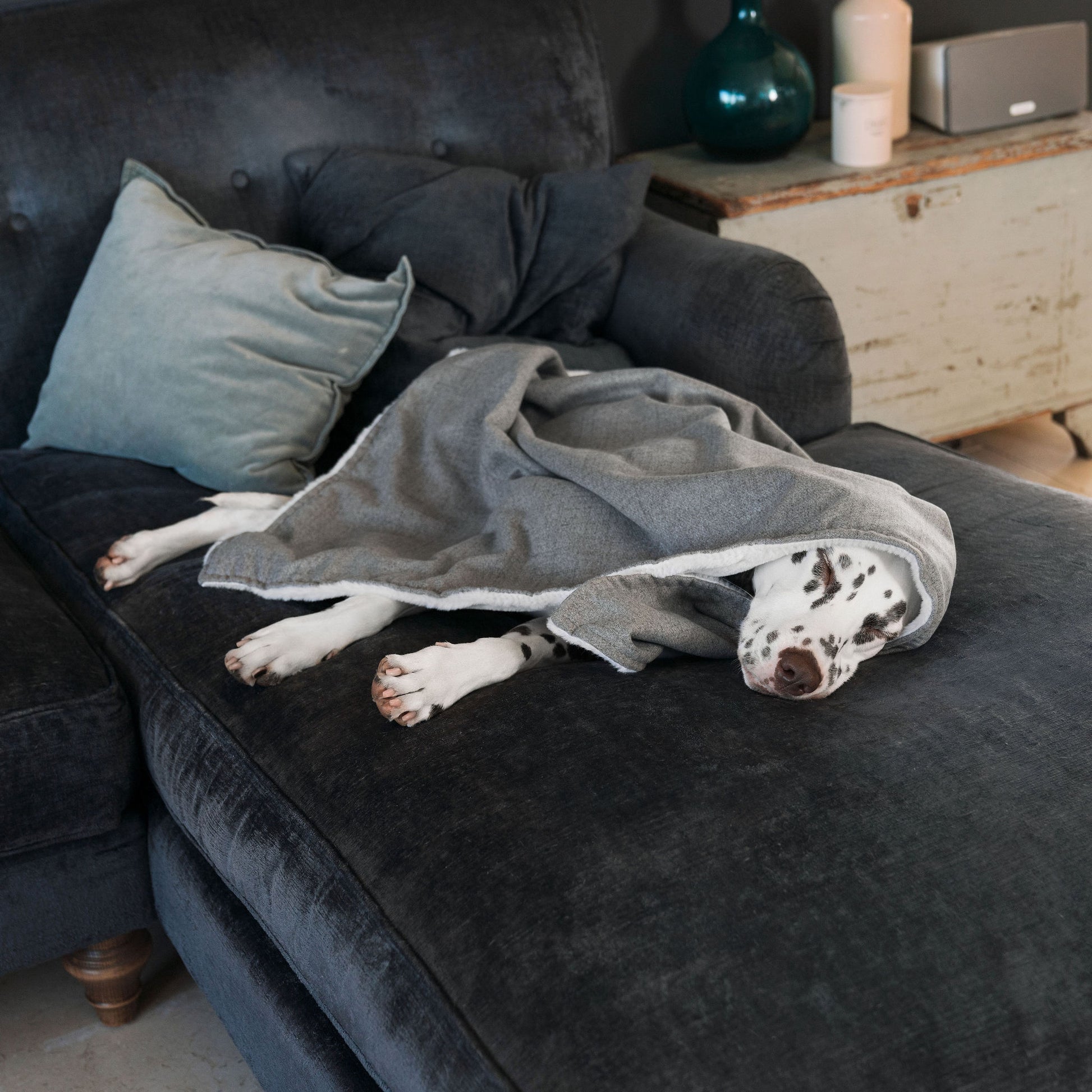 Discover The Perfect Blanket For Dogs! Help Delve Into a Cosy Burrow After Walks, Bath-Time or a Lazy Day Indoors! With Our Inchmurrin Dog Blanket In Stunning Dark Grey Ground! Available To Personalise Now at Lords & Labradors 