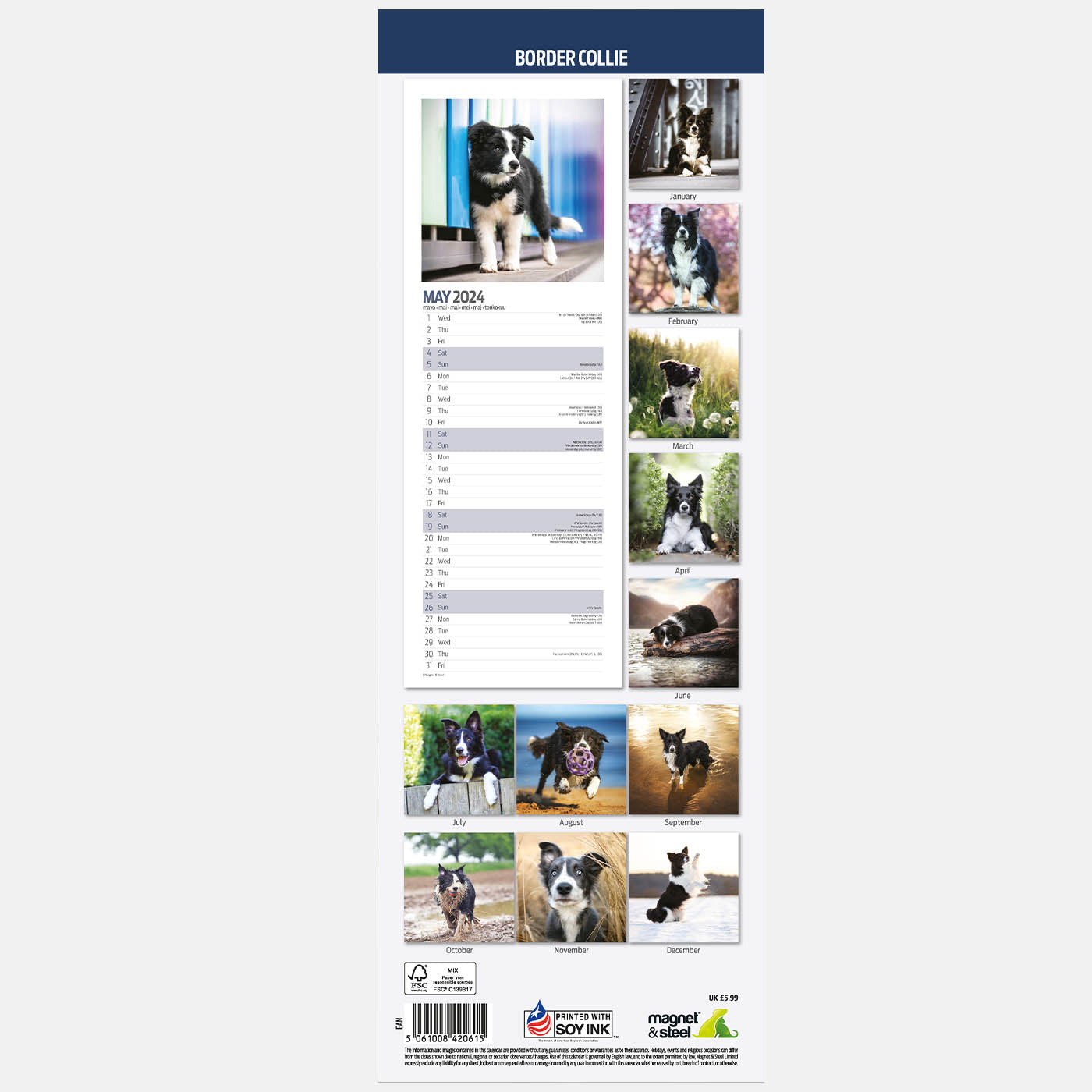 Border Collie 2024 Slim Calendar Gifting Lords & Labradors