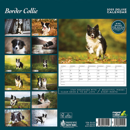 Border Collie Deluxe Calendar 2025