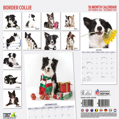 Border Collie Modern Calendar 2025