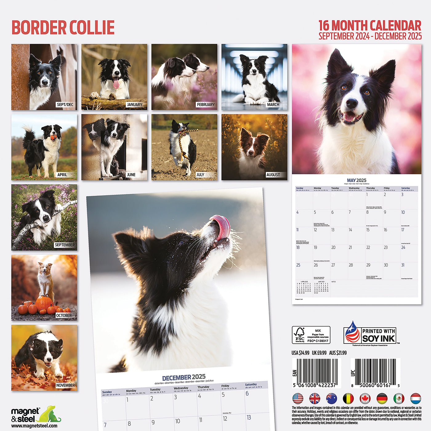 Border Collie Traditional Calendar 2025