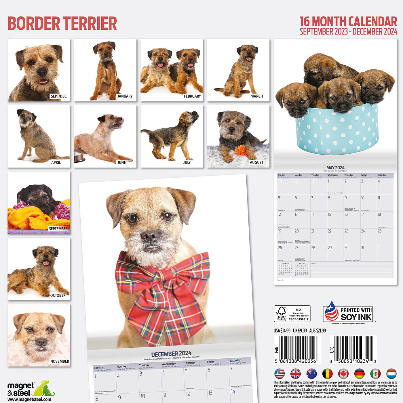 Border Terrier 2024 Modern Calendar Gifting Lords & Labradors