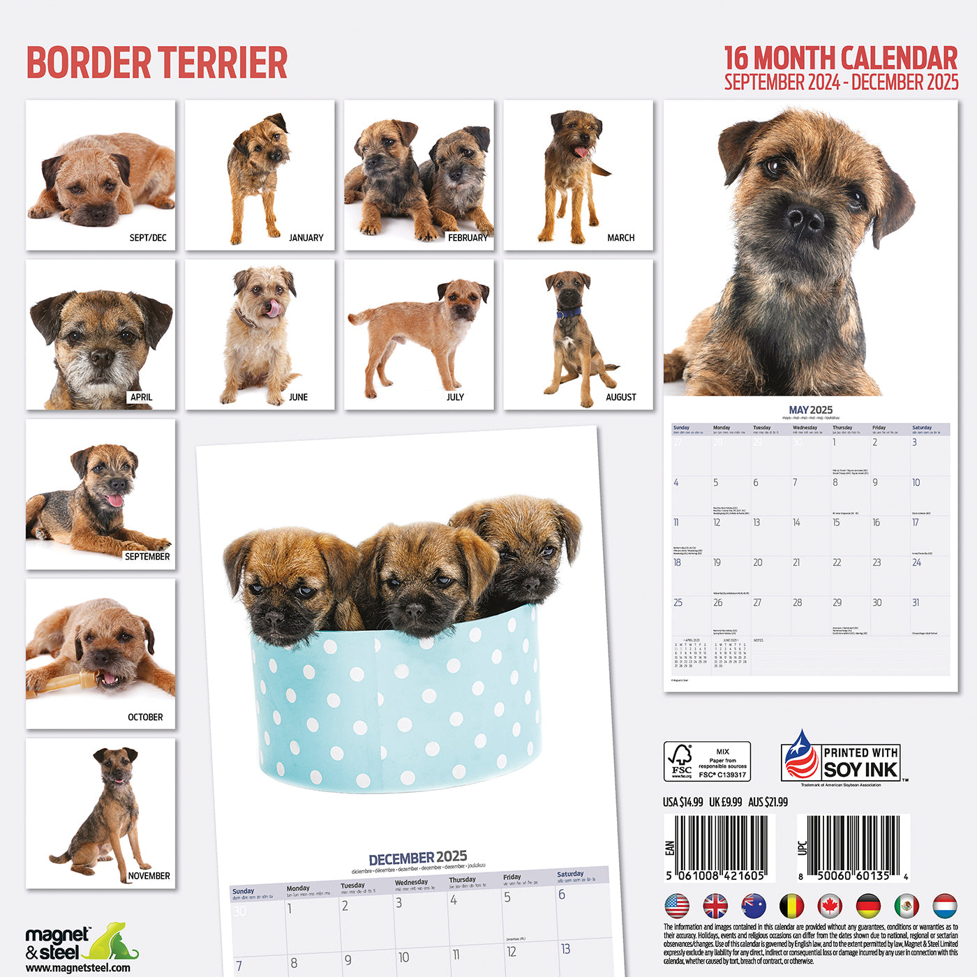 Border Terrier Modern Calendar 2025